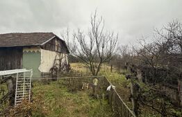 Teren 3000 mp + 2 case de vânzare-Cășeiu