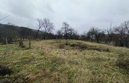 Teren 3000 mp + 2 case de vânzare-Cășeiu