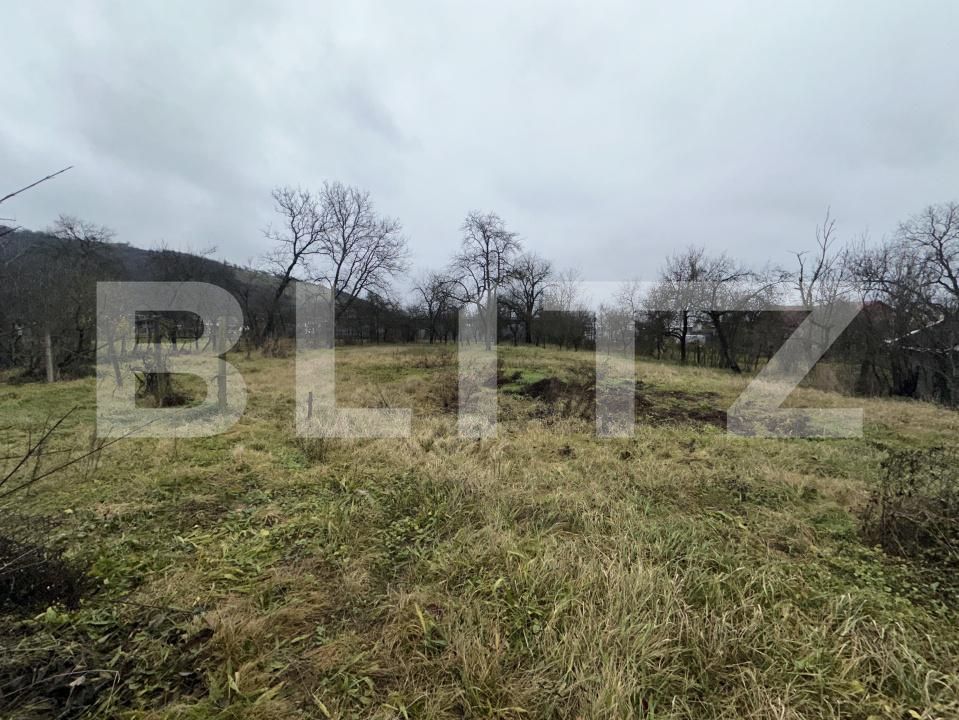 Casa de vânzare 4 camere Cășeiu - 183456CV | BLITZ Cluj-Napoca | Poza3