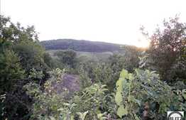 Oferta casa de vanzare 160 mp utili cu 300 mp teren