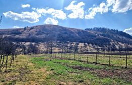 Teren de vânzare Mărişel - 181618TV | BLITZ Cluj-Napoca | Poza5