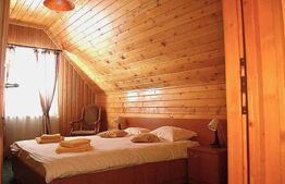 Cabana in Predeal, perfecta pentru turism – 7 dormitoare