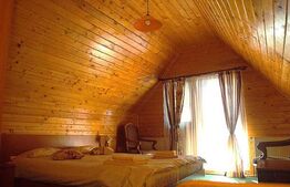 Cabana in Predeal, perfecta pentru turism – 7 dormitoare