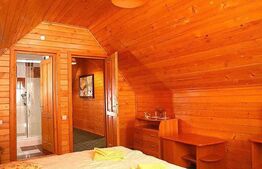 Cabana in Predeal, perfecta pentru turism – 7 dormitoare