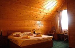 Cabana in Predeal, perfecta pentru turism – 7 dormitoare