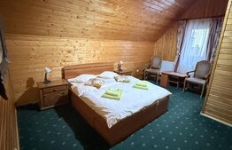 Cabana in Predeal, perfecta pentru turism – 7 dormitoare