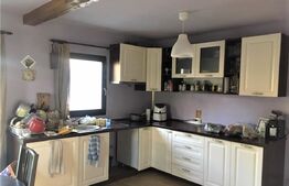 Casa individuala de vanzare, 125 mp, 2112 mp teren, în Deușu-Vechea