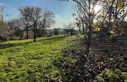 Casa individuala de vanzare, 125 mp, 2112 mp teren, în Deușu