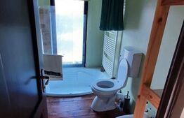 Casa individuala de vanzare, 125 mp, 2112 mp teren, în Deușu