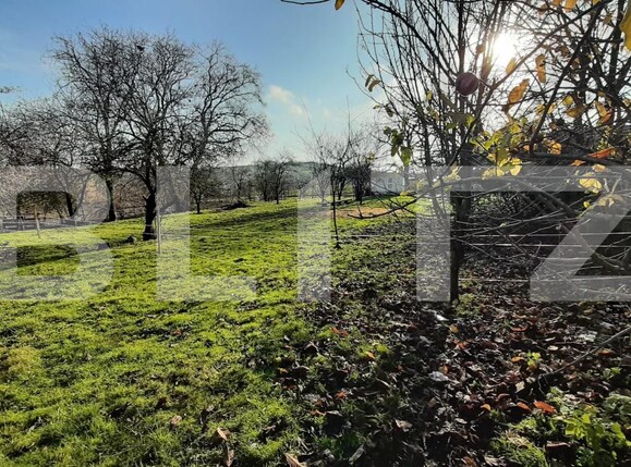 Casa de vânzare 3 camere Deuşu - 183523CV | BLITZ Cluj-Napoca | Poza7