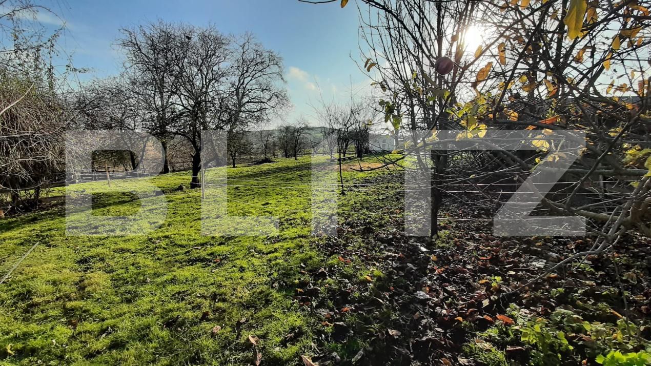 Casa de vânzare 3 camere Deuşu - 183523CV | BLITZ Cluj-Napoca | Poza7