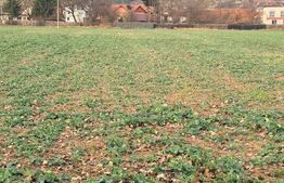 Teren de vânzare în Zărnești – 1150 m², poziție excelentă 36.999 euro