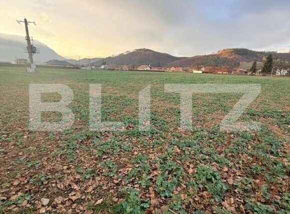 Teren de vânzare Zarnesti - 183543TV | BLITZ Brașov | Poza3
