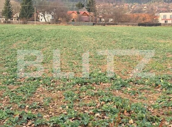 Teren de vânzare Zarnesti - 183543TV | BLITZ Brașov | Poza1