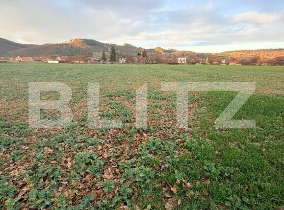 Teren de vânzare Zarnesti - 183543TV | BLITZ Brașov | Poza2