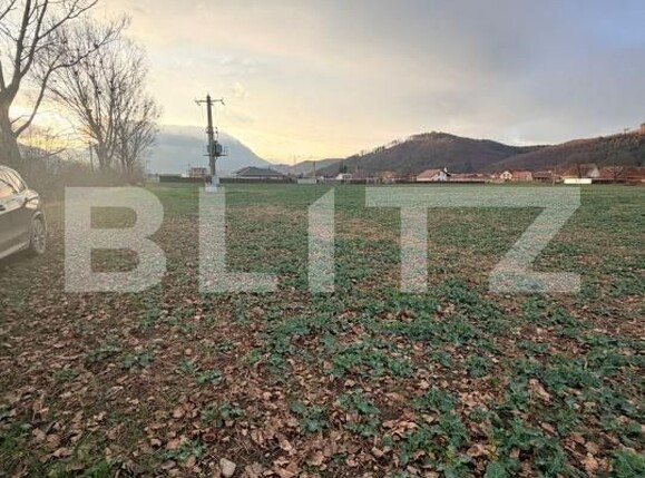 Teren de vânzare Zarnesti - 183543TV | BLITZ Brașov | Poza4