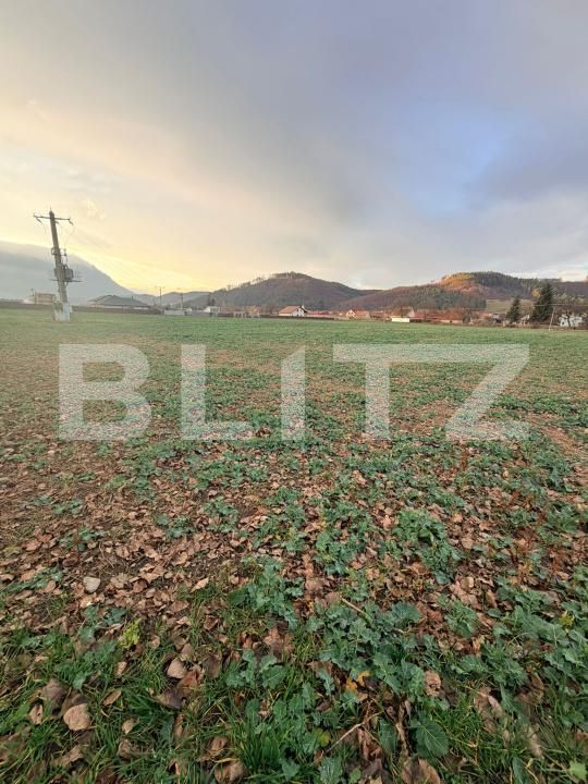 Teren de vânzare Zarnesti - 183543TV | BLITZ Brașov | Poza3