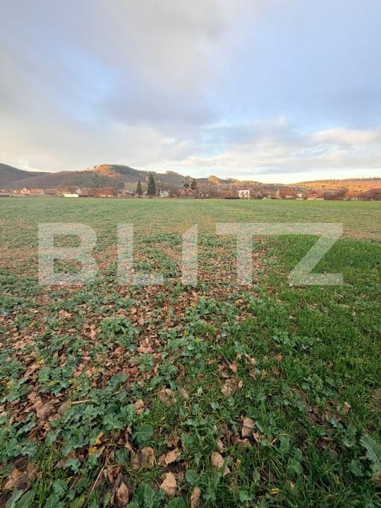 Teren de vânzare Zarnesti - 183543TV | BLITZ Brașov | Poza2