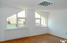 Casa de inchiriat cu 7 camere, 320 mp utili, 1500 mp teren