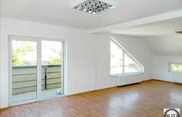Casa de inchiriat cu 7 camere, 320 mp utili, 1500 mp teren
