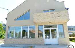 Casa de inchiriat cu 7 camere, 320 mp utili, 1500 mp teren