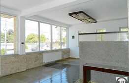 Casa de inchiriat cu 7 camere, 320 mp utili, 1500 mp teren