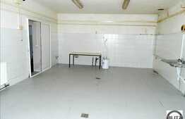 Vanzare 2 case, 100 +90 mp, intr-o curte de 360 mp cu front de 20 ml