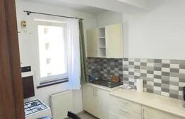 Apartament cu nișă de dormit, zona  Iulius Mall & FSEGA, Pet friendly