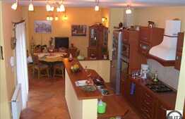 O casa cu o arhitectura deosebita ! Cocheta si eleganta !