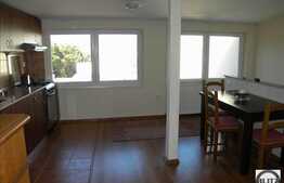 Casa 4 camere, 120 mp utili, gradina 40 mp, zona strazii B.P. Hasdeu
