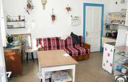 Vanzare casa in zona ultracentrala cu 734 mp teren!