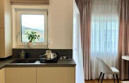 Apartament 2 camere, parcare, boxa, zona Avram Iancu