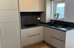 Apartament 2 camere, parcare, boxa, zona Avram Iancu