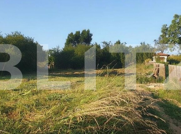 Casa de vânzare 5 camere Feleacu - 183687CV | BLITZ Cluj-Napoca | Poza6