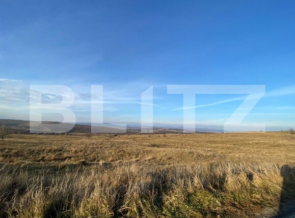 Teren de vânzare Chinteni - 183689TV | BLITZ Cluj-Napoca | Poza1