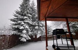 Cabana cochetă din lemn în Beliș – 3 camere, ideală pentru vacanță sau investiți