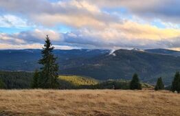 Cabana cochetă din lemn în Beliș – 3 camere, ideală pentru vacanță sau investiți