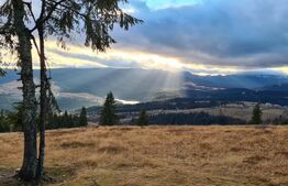 Cabana cochetă din lemn în Beliș – 3 camere, ideală pentru vacanță sau investiți