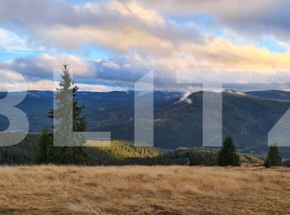 Casa de vânzare 3 camere Beliș - 183700CV | BLITZ Cluj-Napoca | Poza10