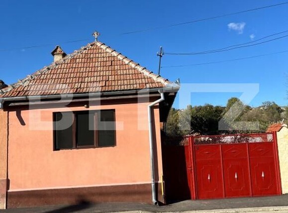 Casa de vânzare 3 camere Zarnesti - 183704CV | BLITZ Brașov | Poza1