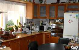 Casa individuala 280 mp utili si  803 mp gradina, zona Dambul Rotund!