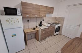 Apartament tip mansarda in zona porii, parcare inclusa 