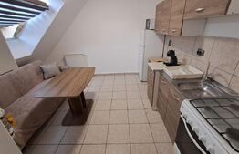 Apartament tip mansarda in zona porii, parcare inclusa 
