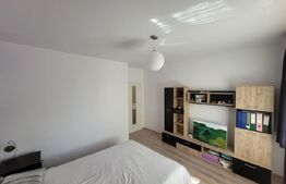 Apartament cu 2 camere, 52 mp, parter + gradina, zona Terra