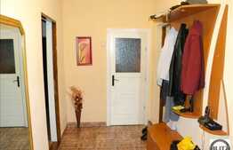 Vanzare casa individuala cu 160 mp utili si 700 mp teren, zona Dambul Rotund