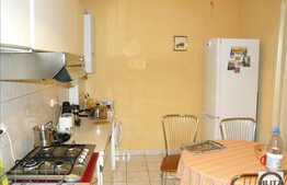 Vanzare casa individuala cu 160 mp utili si 700 mp teren, zona Dambul Rotund