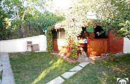 Vanzare casa individuala cu 160 mp utili si 700 mp teren, zona Dambul Rotund