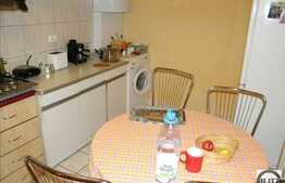 Vanzare casa individuala cu 160 mp utili si 700 mp teren, zona Dambul Rotund