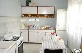 Vanzare casa individuala cu 160 mp utili si 700 mp teren, zona Dambul Rotund