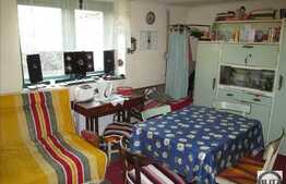 Vanzare casa 250 mp utili cu teren 1200 mp, in zona linistita